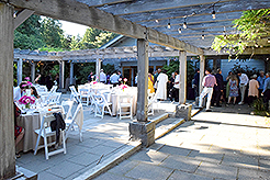 LOVE IN BLOOM AT WISTERIA HALL